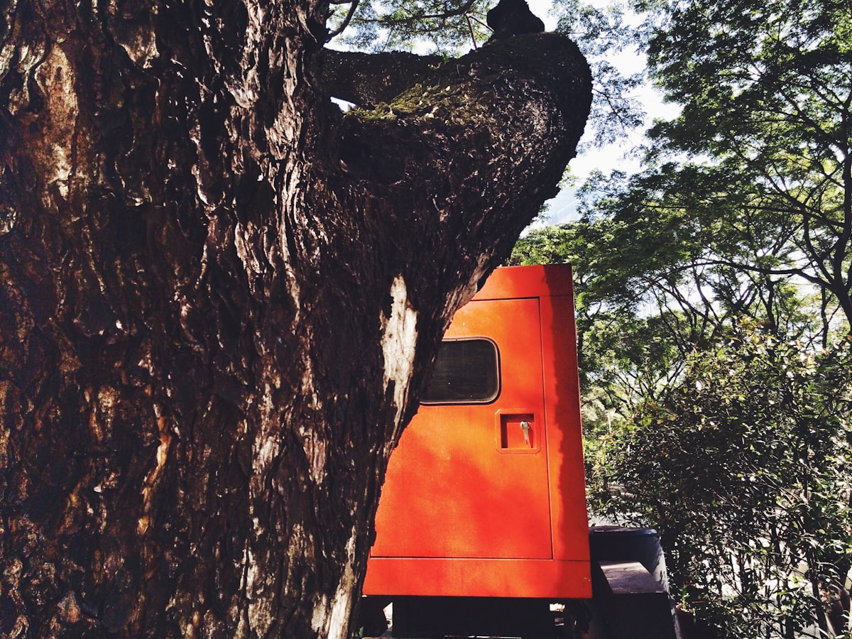 Veterans' Tree Service